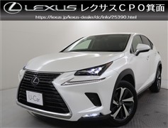 NX300h Iパッケージ