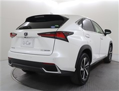 NX300h Iパッケージ