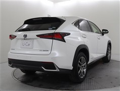 NX300h バージョンL