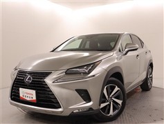 NX300h バージョンL