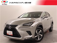 NX300h バージョンL