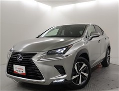 NX300h バージョンL