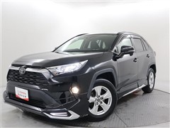 RAV4 X