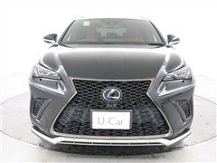 NX300h Fスポーツ