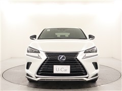 NX300h スパイスアンドシック