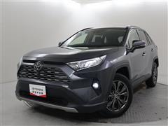 RAV4 G