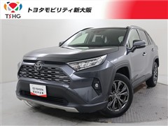 RAV4 G