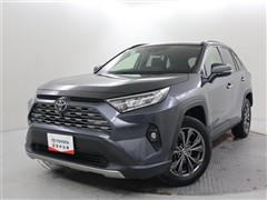 RAV4 G