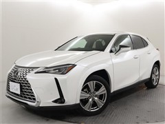 UX250h グレイスフル Exp