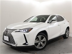 UX250h グレイスフル Exp