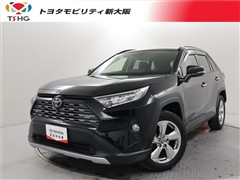 RAV4 G