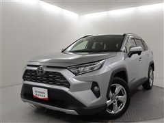 RAV4 G