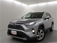 RAV4 G