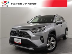 RAV4 G