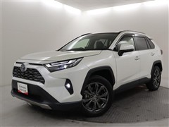 RAV4 HV G