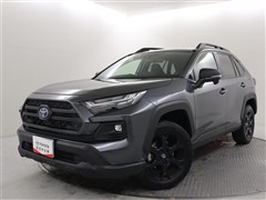 RAV4 HV アドベオフロード2