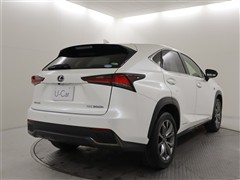 NX300h Fスポーツ