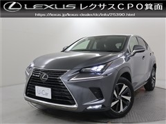 レクサス NX300 Iパッケージ