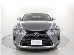 NX300 Iパッケージ