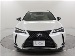 UX250h アーバンエレガンス