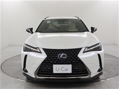 UX250h アーバンエレガンス