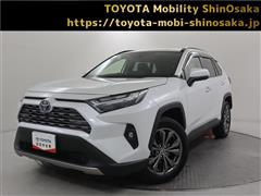 RAV4 HV G