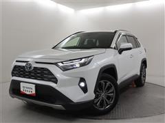 RAV4 HV G