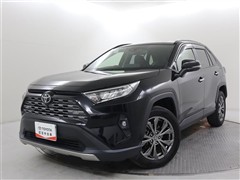 RAV4 G