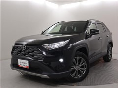 RAV4 G
