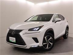 NX300 Iパッケージ
