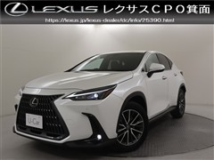 NX350h