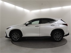 NX350h