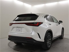 NX350h
