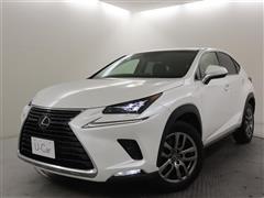 NX300h バージョンL