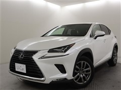 NX300h バージョンL