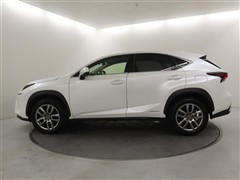 NX300h バージョンL