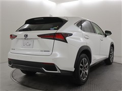 NX300h バージョンL