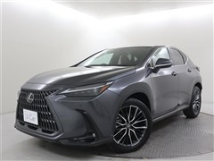 NX350h バージョンL