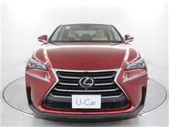 NX200t Iパッケージ