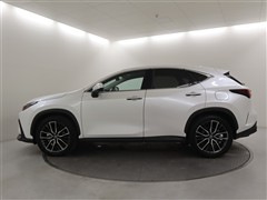 NX350h バージョンL