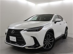 NX350h バージョンL