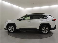 RAV4 G
