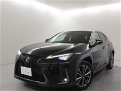 UX250h Fスポーツ