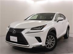 NX300h Iパッケージ