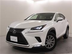 NX300h Iパッケージ