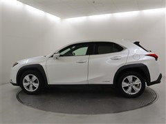 UX250h