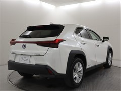 UX250h