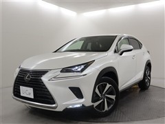 NX300 Iパッケージ