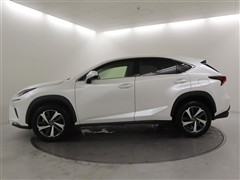 NX300 Iパッケージ