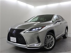 RX450h バージョンL